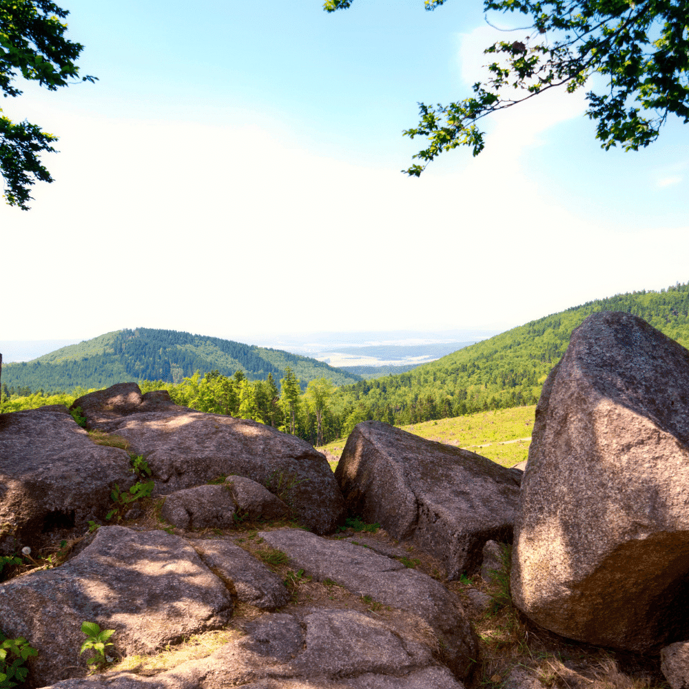 Aussicht Thüringer Wald
