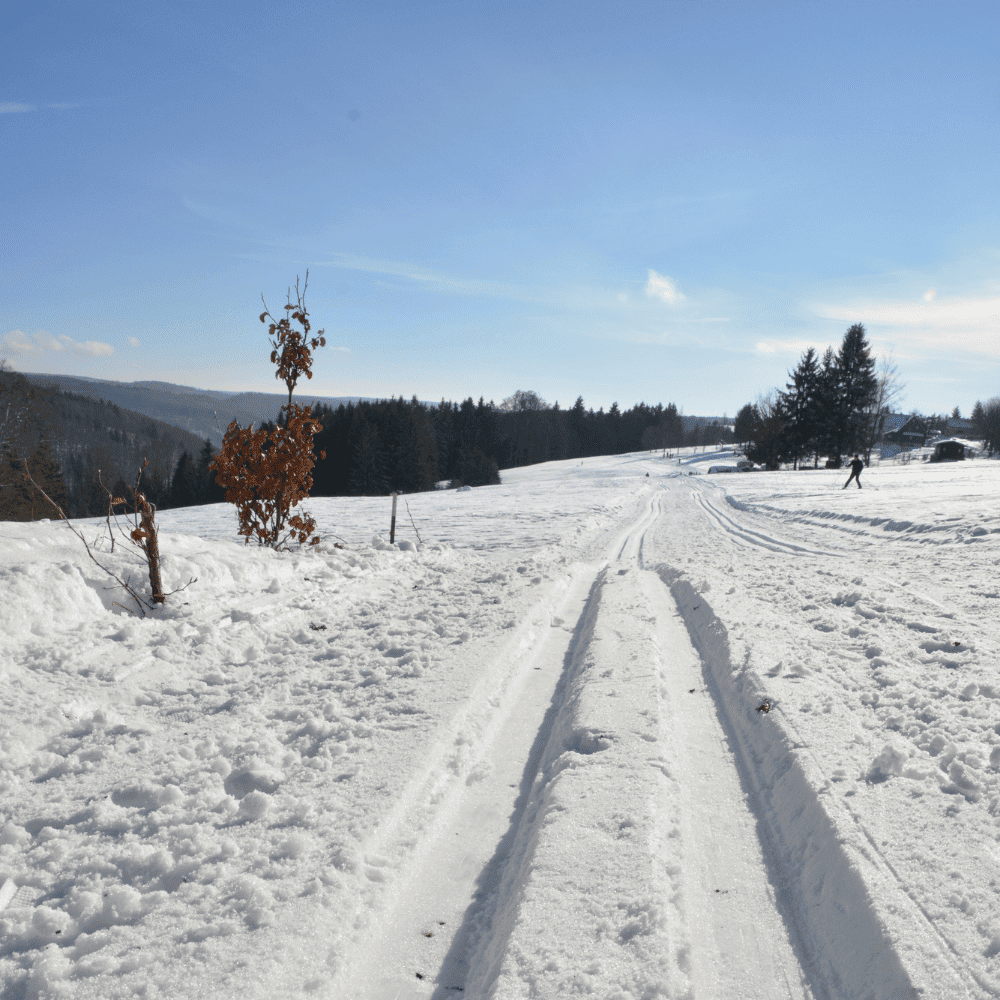 Wintersport Thüringer Wald